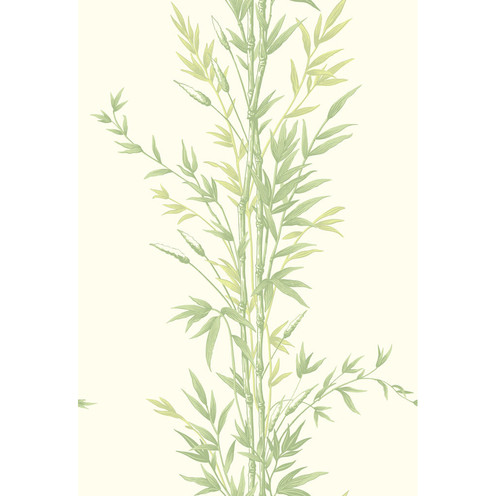 Bamboo - Green By Cole & Son