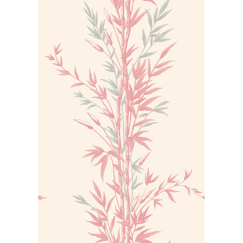 Bamboo - Pink By Cole & Son