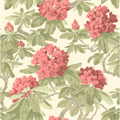 Bourlie - Coral By Cole & Son