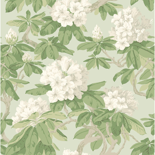 Bourlie - Duck Egg By Cole & Son