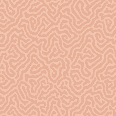 Coral - Salmon By Cole & Son
