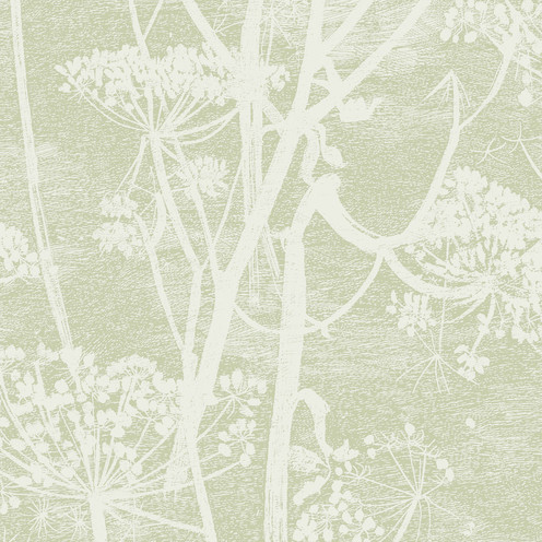 Cow Parsley - Olive By Cole & Son