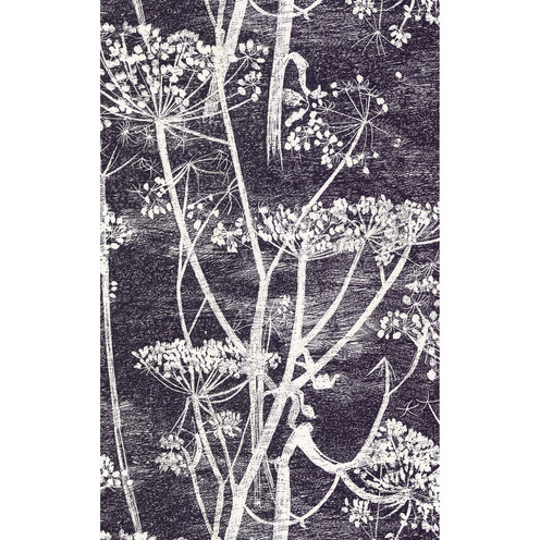 Cow Parsley - White/Blk By Cole & Son