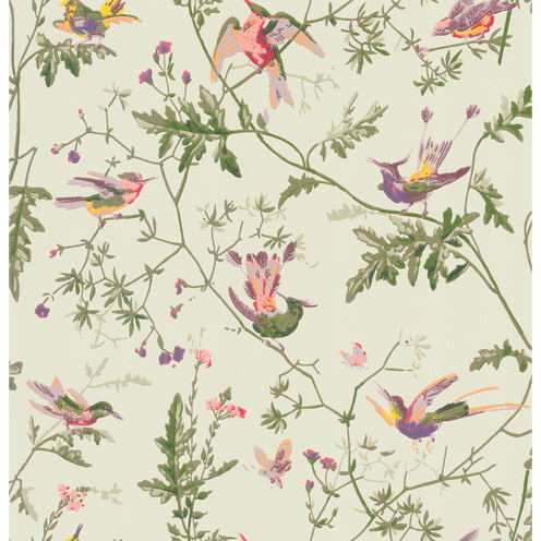 Hummingbirds - Green Multi-Colour By Cole & Son
