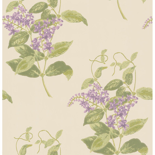 Madras Violet - Olive & Lavender By Cole & Son