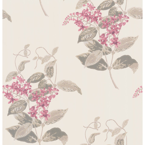 Madras Violet - Pink By Cole & Son