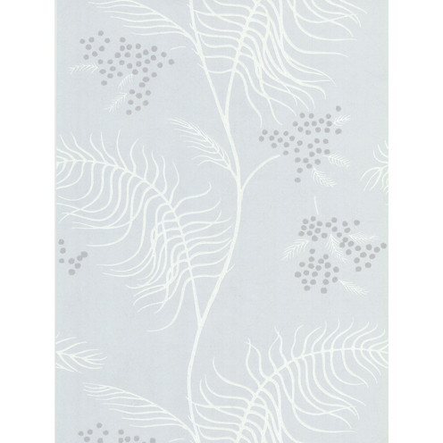 Mimosa - Slate By Cole & Son