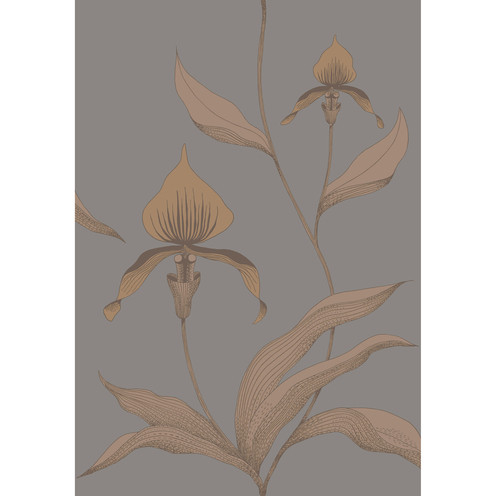 Orchid - Bronze/Slate By Cole & Son
