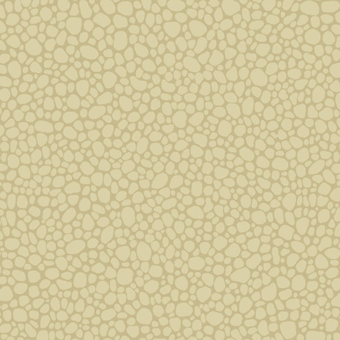 Pebble - Latte By Cole & Son