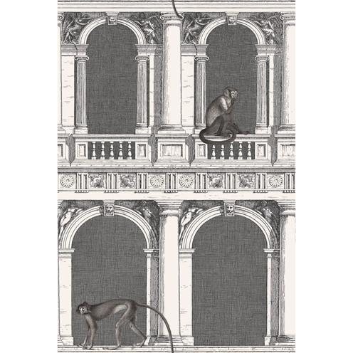 Procuratie E Scimmie - B/W By Cole & Son