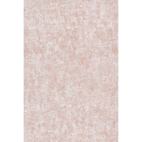 Salvage - Plaster By Cole & Son