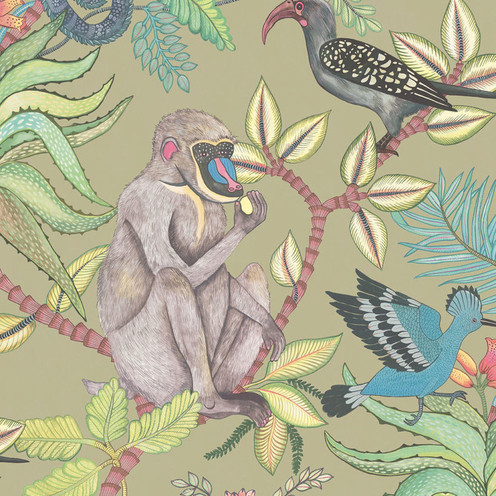 Savuti - Khaki Multi By Cole & Son