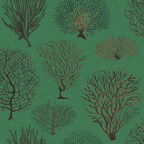 Seafern - Emerald By Cole & Son