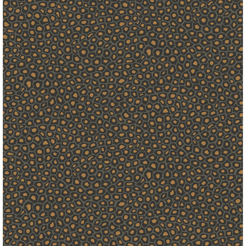 Senzo Spot - Charcoal By Cole & Son