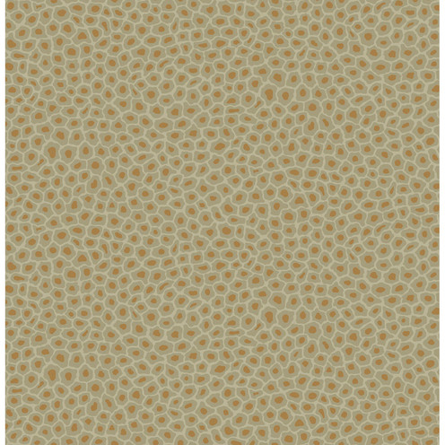Senzo Spot - Olive By Cole & Son