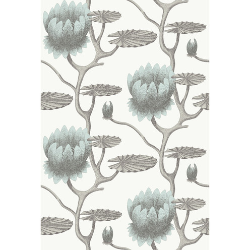 Summer Lily - Aqua/White By Cole & Son