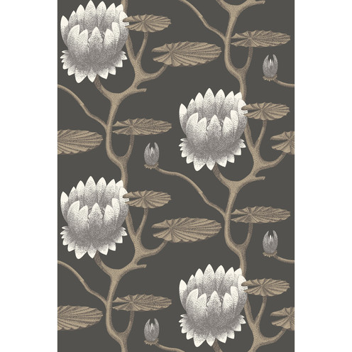 Summer Lily - Blk/Wht/Gold By Cole & Son