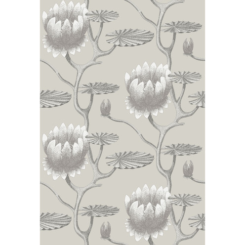 Summer Lily - Taupe/White By Cole & Son