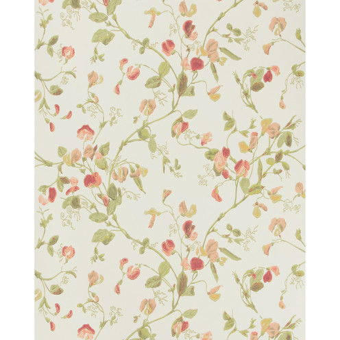 Sweet Pea - Pink By Cole & Son