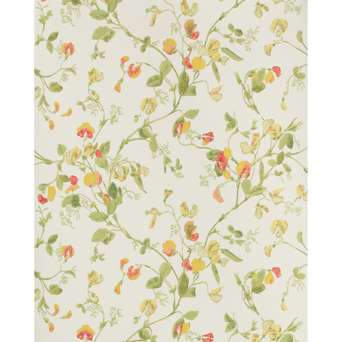 Sweet Pea - Pink & Yellow By Cole & Son