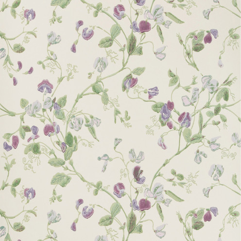 Sweet Pea - Violet By Cole & Son
