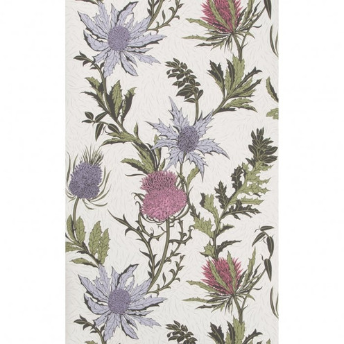 Thistle - Lilac/Cerise/White By Cole & Son