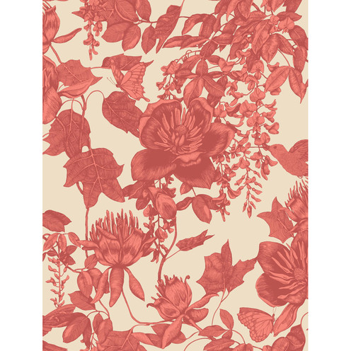 Tivoli - Coral By Cole & Son