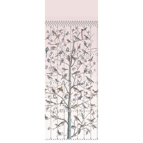 Uccelli - Ballet Slipper By Cole & Son
