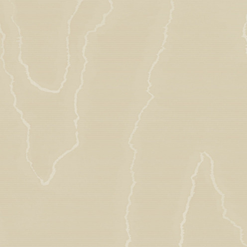 Watered Silk - Fawn By Cole & Son