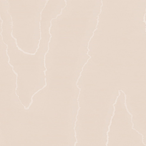 Watered Silk - Salmon By Cole & Son