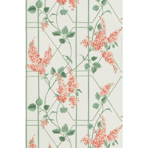 Wisteria - Coral/Sage/Parch By Cole & Son