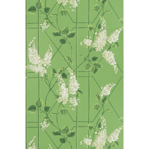 Wisteria - Sage/Leaf Green By Cole & Son