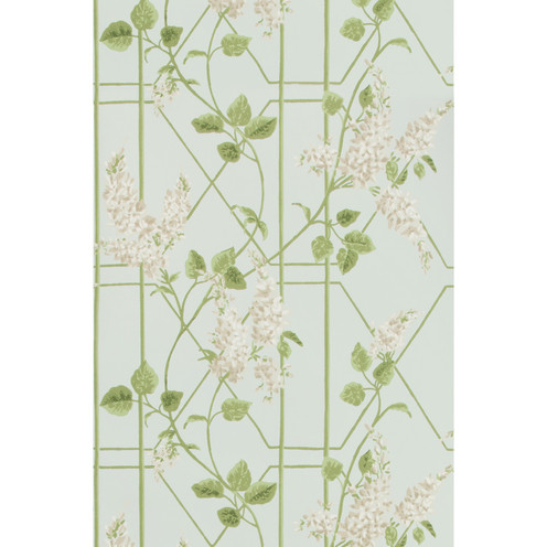 Wisteria - Stone/Olive/D Egg By Cole & Son