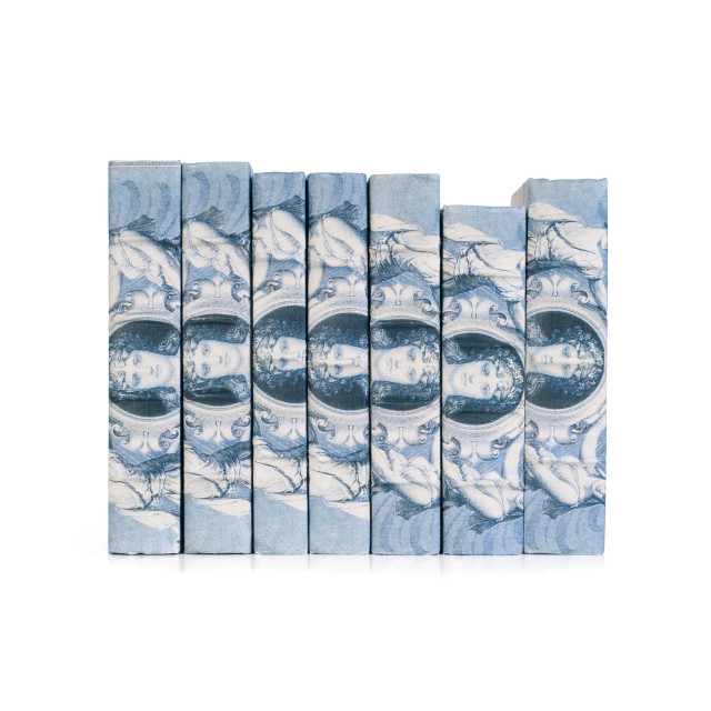 Linear Foot of Blue European Beaux Arts Goddess Books Linear Foot of Blue European Beaux Arts Goddess Books