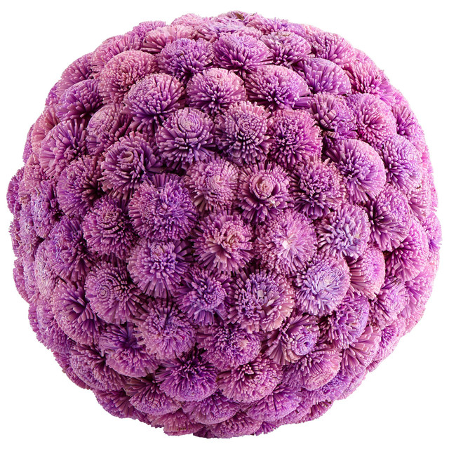 Large Sia Sphere in Lavender by Cyan Design