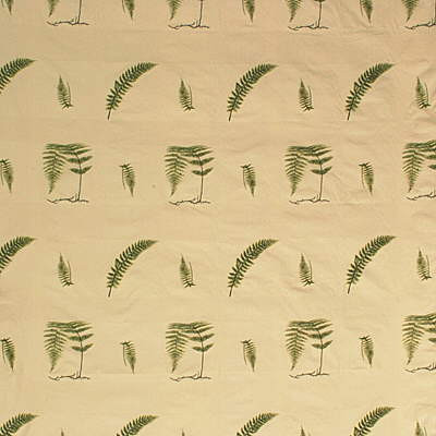 KRAVET - SOFT FERN Upholstery Fabric  in Ivy