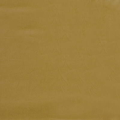 Velvet Smoothie in Butter, Upholstery Fabric by Kravet Basics