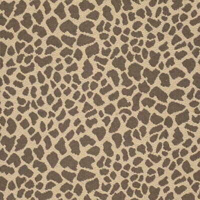 Daktari in Leopard, Multipurpose Fabric by Kravet Basics
