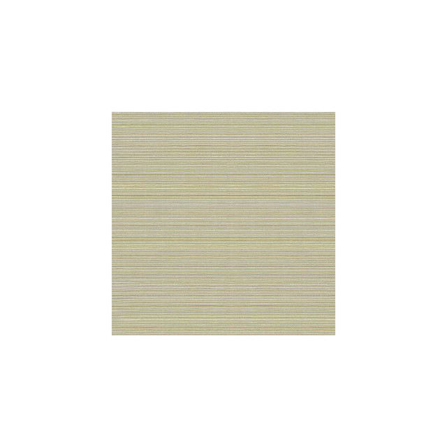 Campania in Dove, Multipurpose Fabric by Kravet Basics