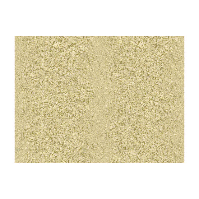 Chic Shagreen in White Gold, Upholstery Fabric by Kravet Couture