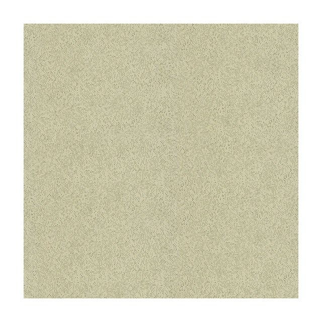 Dazzling Haute in Pumice, Multipurpose Fabric by Kravet Couture