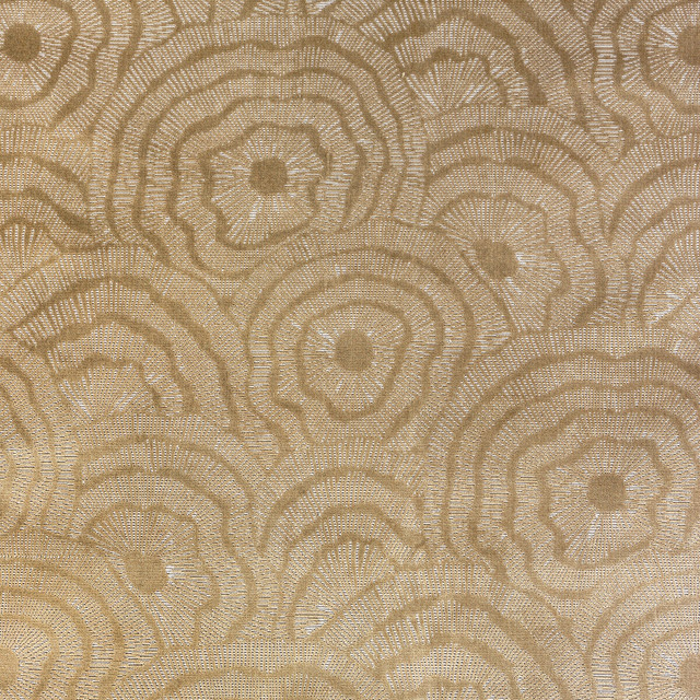 Panache Velvet in Gold, Upholstery Fabric by Kravet Couture