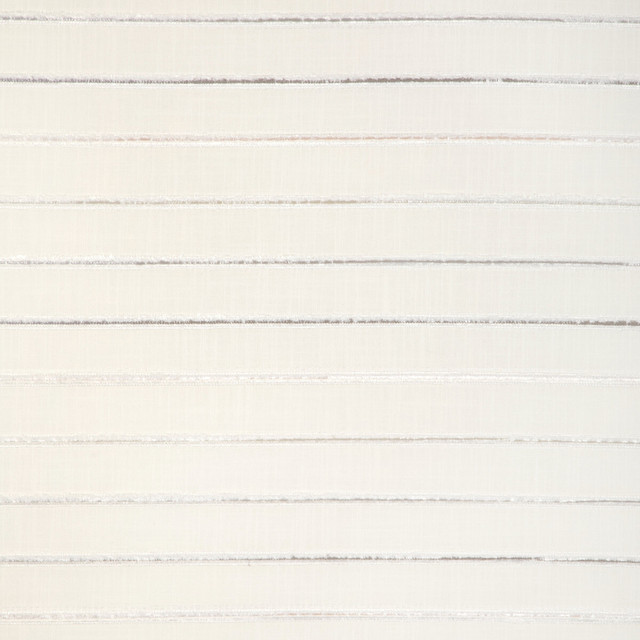 Peekaboo in Powder, Multipurpose Fabric by Kravet Design