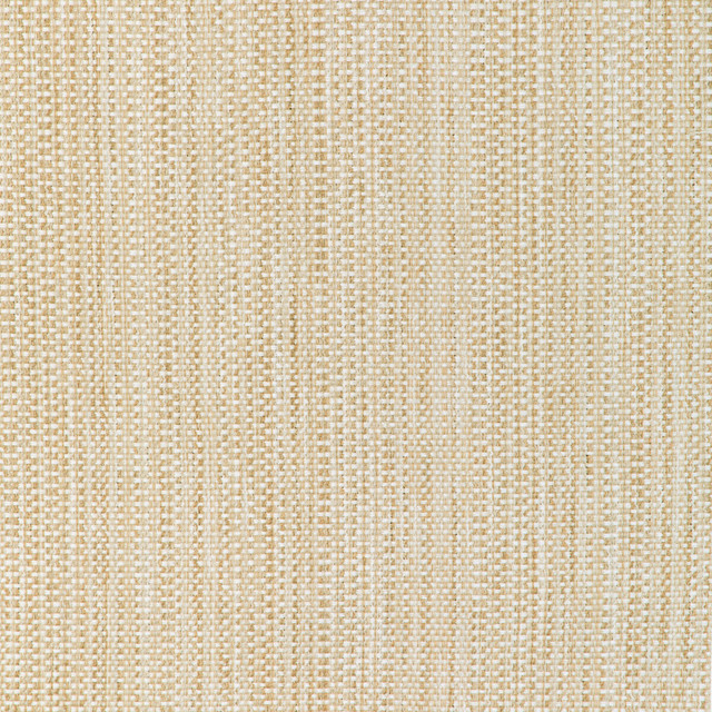 Kravet Smart in 37018-116, Upholstery Fabric