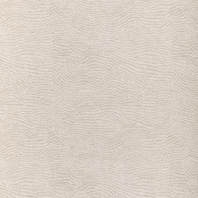 Combed Sand in Goldfinch, Upholstery Fabric by Kravet Couture