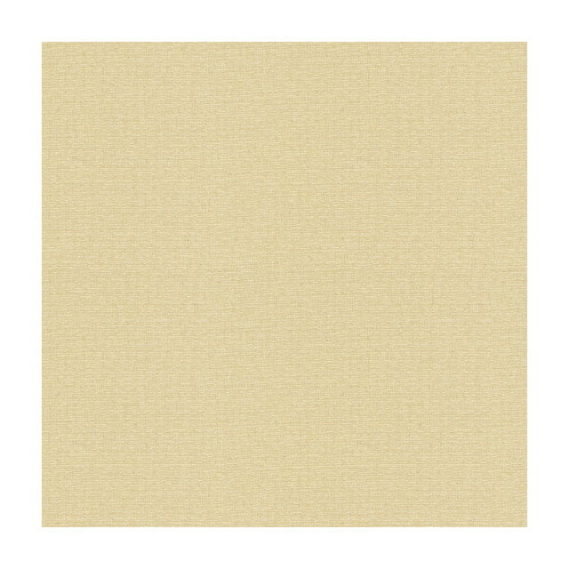 Kravet Basics in 4113-16, Drapery Fabric