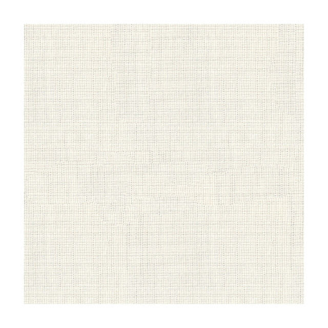 Kravet Contract in 4150-101, Drapery Fabric