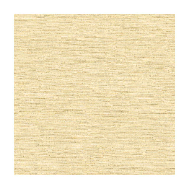 Kravet Design in 4205-416, Drapery Fabric