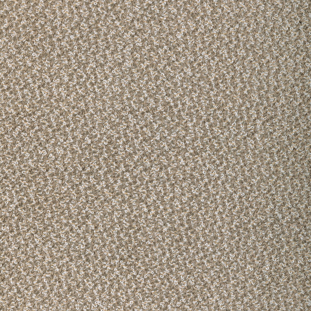 Pebbly in Barley, Drapery Fabric by Kravet Couture