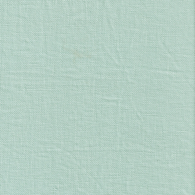 Beagle in Galapagos, Multipurpose Fabric by Kravet Couture